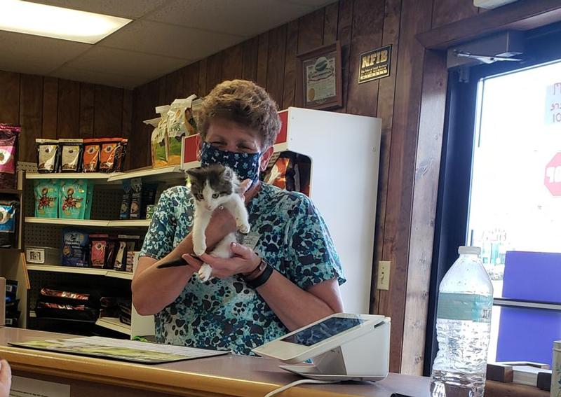 The Veterinary Clinics, Berlin Berlin veterinarians